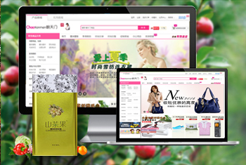 ���˳������̳�