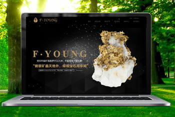 ���˸������ﱦʯ